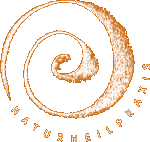 Logo Naturheilpraxis Susanne Hengehold-SchmidT